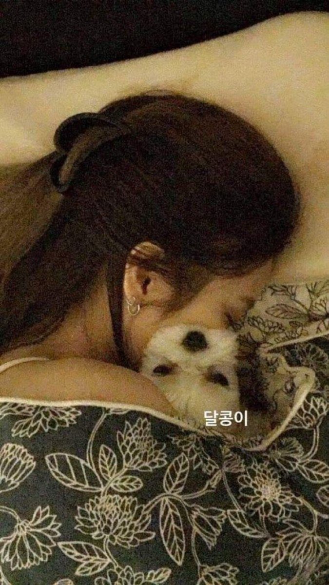 when jisoo took a picture of jennie sleeping in her bed hugging dalgom <3

#HappyDalgomDay