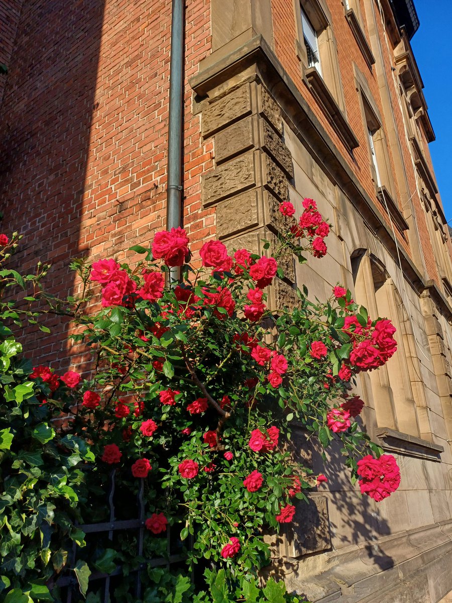 "The secret, Alice, is to surround yourself with people who make your heart smile. It's then, only then, that you'll find Wonderland."