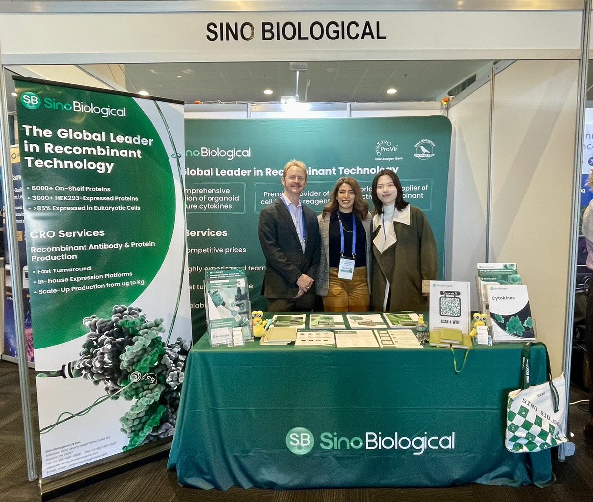 👍Did you know that @Sino_Biological are world leader's in recombinant protein and antibody production? 💚 If you're at @APVICongress come by the Sino Biological or Millennium Science booths to find out more! #APVIC2024