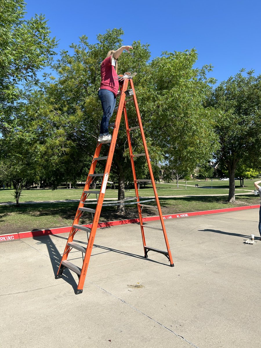 Dawn Mather tweet media