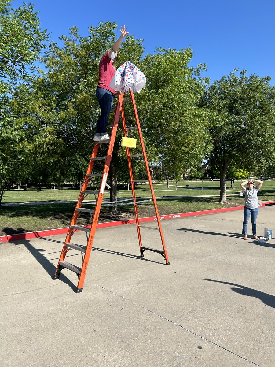 Dawn Mather tweet media