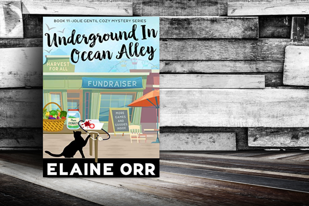 A murdered nurse means mysteries to solve & Aunt Madge runs for Ocean Alley mayor. Plus a boardwalk fundraiser and twins #cozymystery amzn.to/2Vvs28q apple.co/3pXcOcZ Nook bit.ly/3iNUeAG Google bit.ly/3KwclaX kobo bit.ly/3R3XU0o