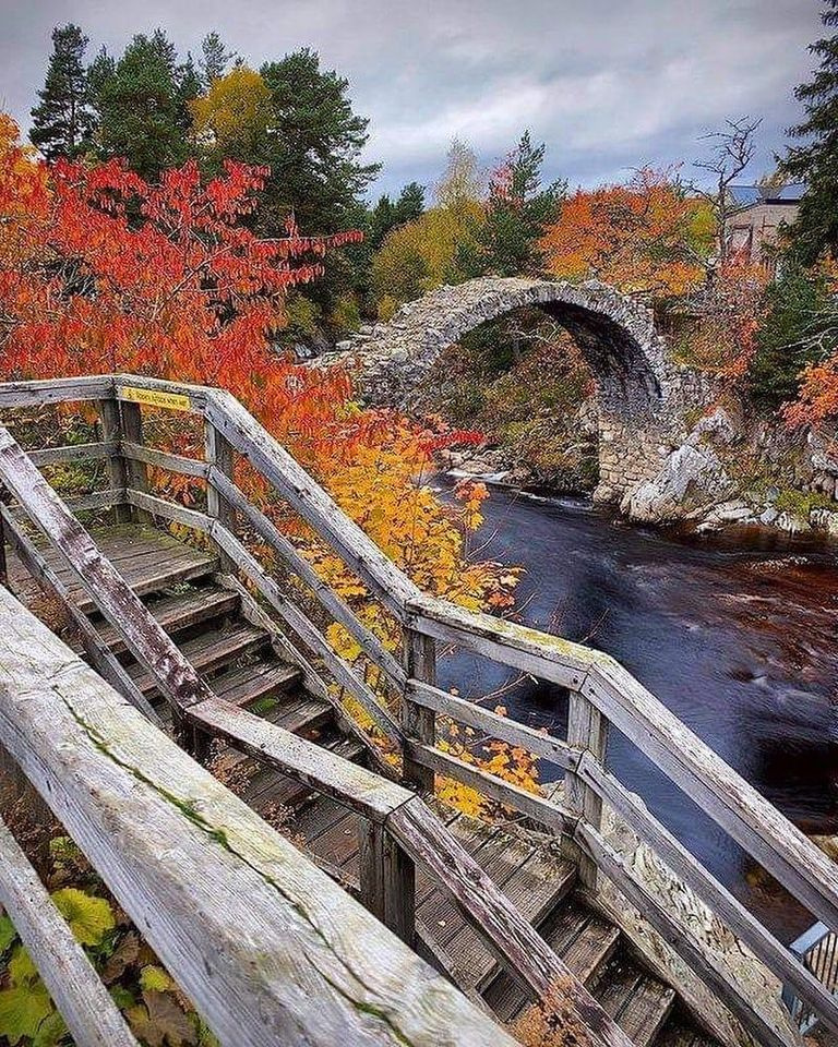 The Old Packhorse Bridge in Carrbridge is thought to be the oldest stone bridge in the Highlands!🍂🍃 Great capture taken in the Cairngorms National Park by @neil_donald_ 📷. 

lovetovisitscotland.com/the-cairngorms…