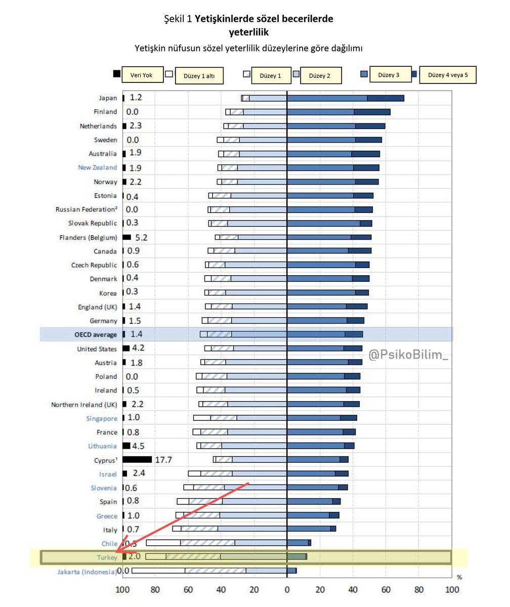 Türkiye'deki yetişkinler okuduğunu anlamada OECD ülkeleri arasında sondan ikinci.