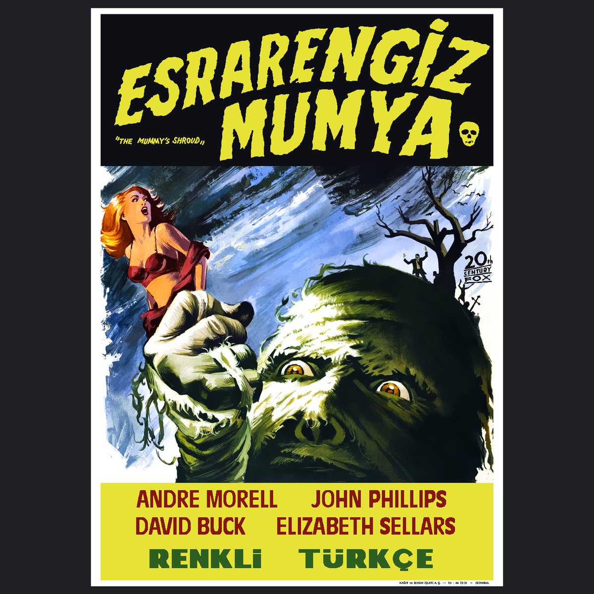 Esrarengiz Mumya 1967 
The Mummy's Shroud
André Morell / John Phillips
John Gilling
Horror
Hammer Films

Turkish Edition Vintage Movie Poster

Klasik mezar koruyan, diriltilmiş lanetli mumya filmlerinden,  yönetmeni sanki diğerleri çok iyiymiş gibi bu filmini de hiç sevmez.