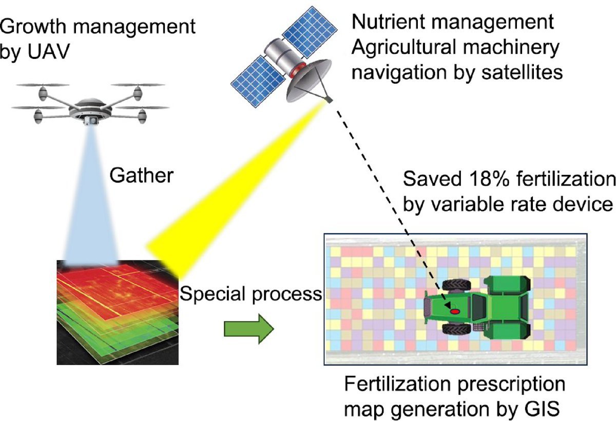 #CAS Research shows microplastics (MPs) interact with soil pollutants like heavy metals and organics, affecting soil fertility and plant growth. @EcologicalAR #Microplastics #SoilPollution Details: maxapress.com/article/doi/10…