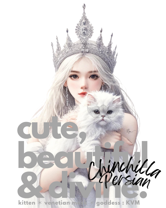 Behold the ethereal beauty: A young goddess cradles a Chinchilla Persian kitten, radiating innocence and royal grace. A vision of pure elegance and serene divinity. #ChinchillaPersian #KittenArt #RoyalPets #EtherealBeauty