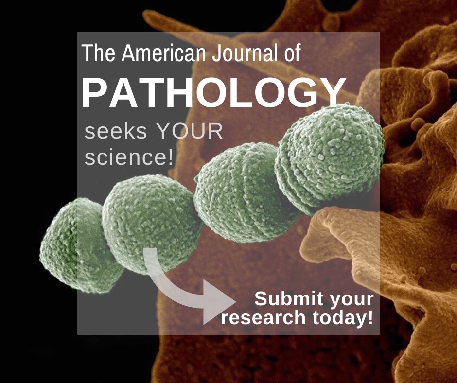 Send in your discoveries in #Pathogenesis for consideration today.  Submission is free!  #ImpactFactor: 6.0

editorialmanager.com/ajpa/default2.…