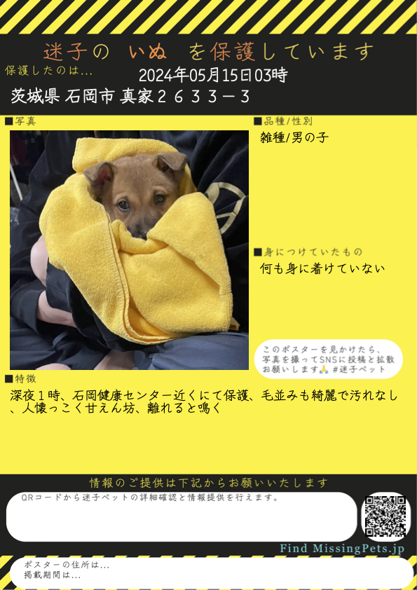nekonare_sub's tweet photo. 📢拡散希望
茨城県石岡市 で いぬ を保護しました

雑種の男の子

[詳細]
⬇️飼い主の情報をお届けください🙏
https://t.co/UNnUAfyXvG

[検索ワード]
#迷い犬 #犬好きさんと繋がりたい
FindMissingPets 🐕 迷子犬 迷子ペット 探しています https://t.co/uUksEXKJR0