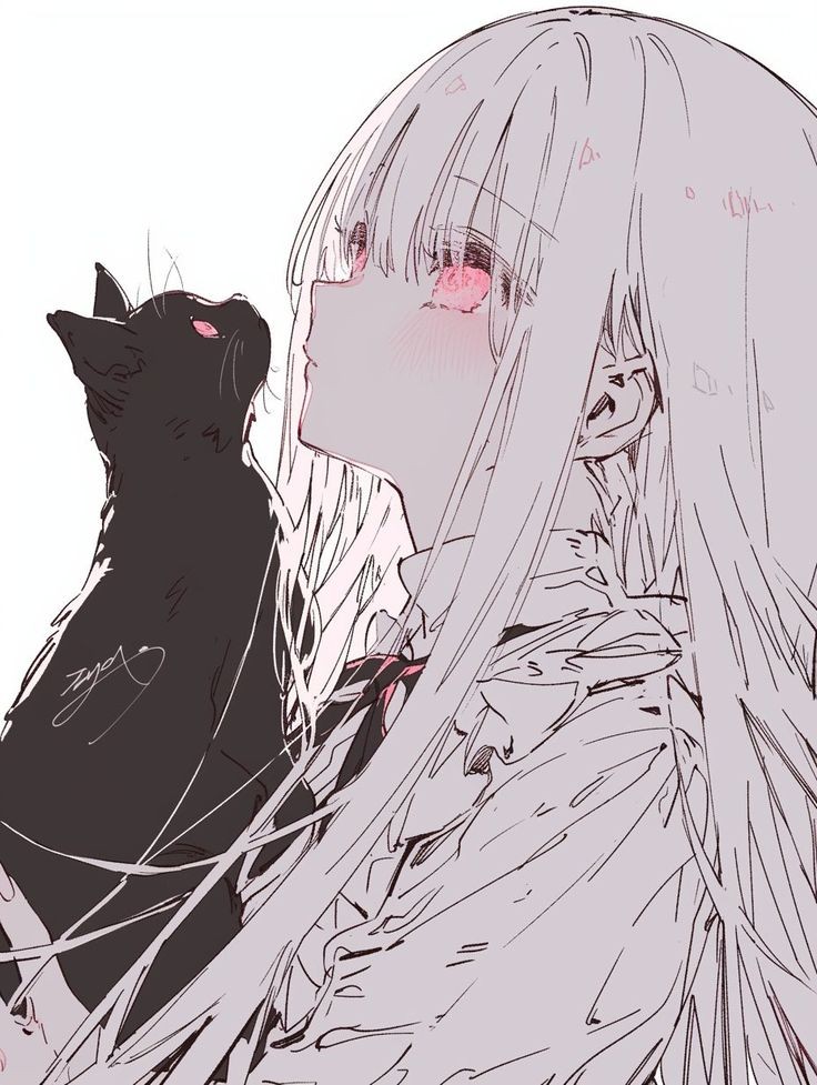 さくや🐬✩°｡⋆🩵 tweet media