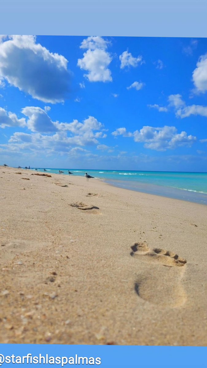 🌅Qué tus pasos te guíen aún lugar perfecto,  donde solo experimentes buenas vibras🤗