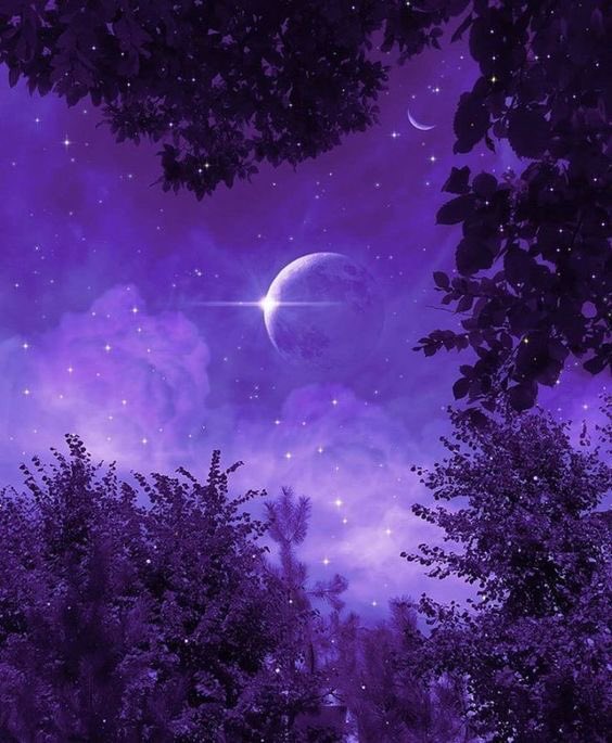 violettweets_'s tweet photo. shades of violet. https://t.co/C0D4OqbHRl