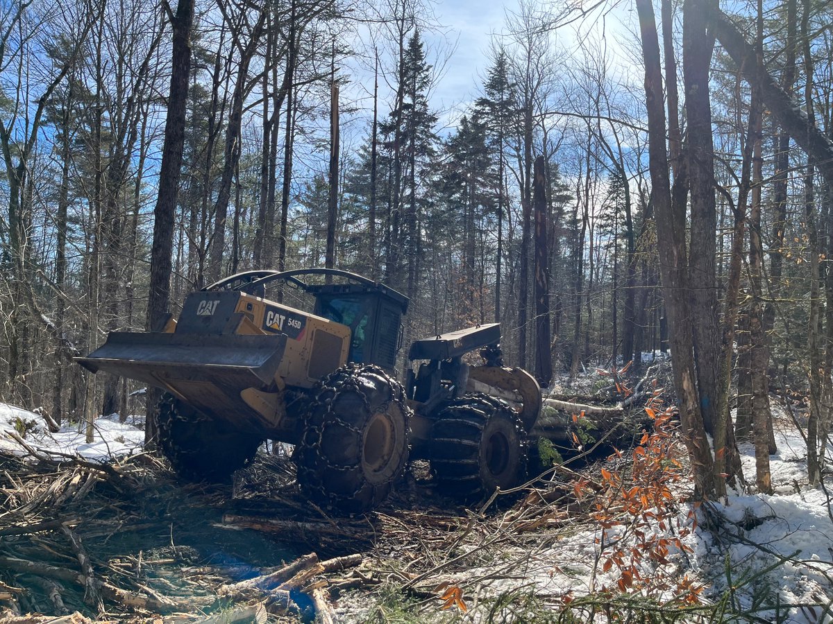 You don't really appreciate how big a CAT 535 skidder is, till you see it on a lowboy going down the highway.
Cars are tinker toys compared to it.