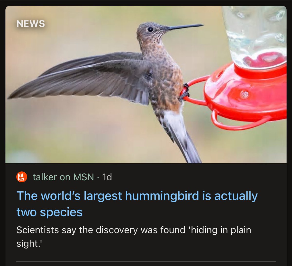 Ibbored's tweet image. Like stacked on top of each other wearing a trench coat orrrr…