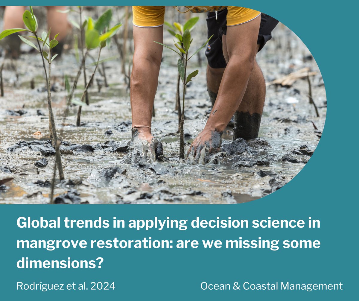 BlueCarbonLab's tweet image. 📣 New paper alert! This latest paper highlights the importance of enhancing collaboration for #decisionscience in #mangrove #restoration with a socioecological lens.

Paper: sciencedirect.com/science/articl…
#BlueCarbon #GenerationRestoration #Mangroves