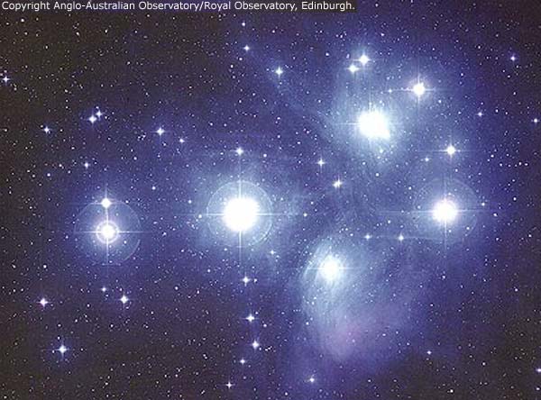 Die Plejaden können ohne Fernglas gesehen werden. Die Plejaden, auch bekannt als Sieben Schwestern und M45, sind einer der hellsten und nächstgelegenen offenen Sternhaufen. Die Plejaden enthalten über 3000 Sterne, sind etwa 400 Lichtjahre entfernt. nasa