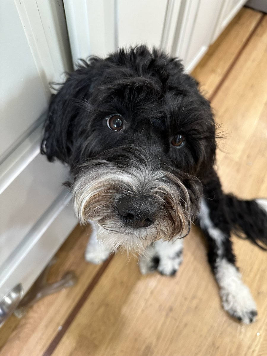 fracashade's tweet image. Here watching tonight’s show! #Bestathomecontest