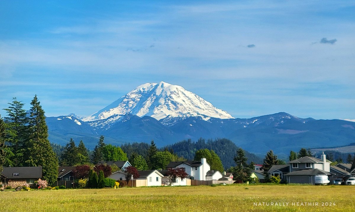 She's out! Glorious Tahoma!!! #WAwx #pnw #Enumclaw #Tahoma @MtRainierWatch @DiscoverRainier @IsMtRainierOut #sonorthwest