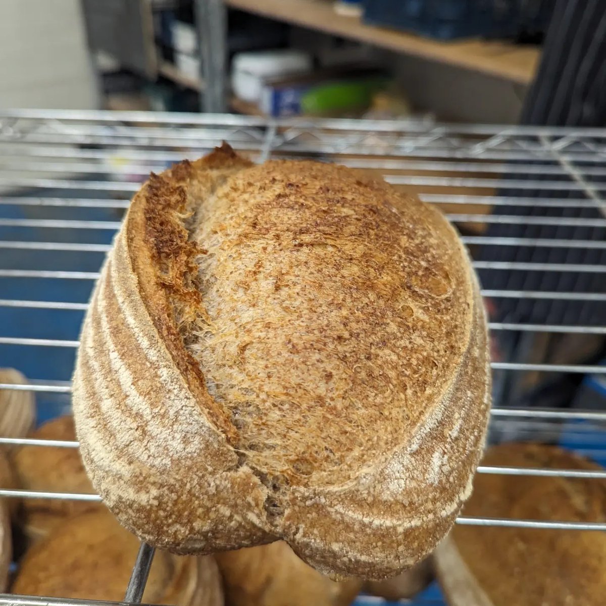 In this week's blog, we chat with up-and-coming artisan baker Ralph Gilsenan of Lincoln’s Grain of Truth Bakery. Read on for bakers’ hours, windsurfing, foodie fascination, going local and the warm miracle of fresh bread. southormsbyestate.co.uk/more/journal/f…