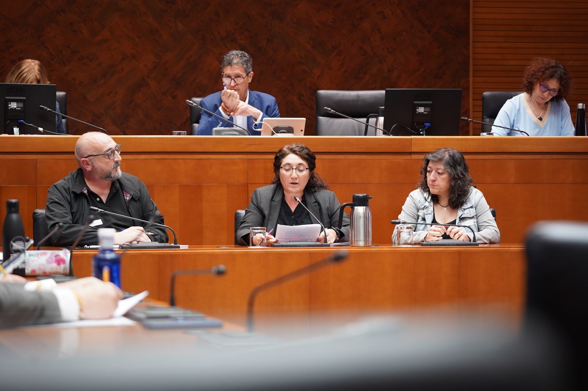 Ozlem Tanrikulo denuncia la 'vulneración de los derechos humanos que está sufriendo Abdullah Öcalan, líder del PKK, por parte del gobierno turco tras más de 25 años en aislamiento'. Pide una 'solución democrática basada en el derecho internacional'.

🗣️#ComparecenciasCiudadanas