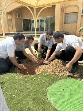 الصورة