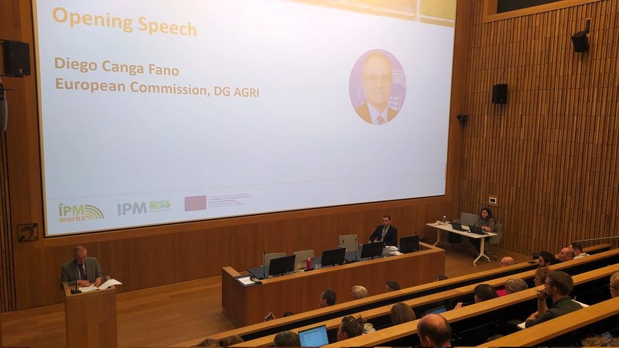 Ana Babic tweet media