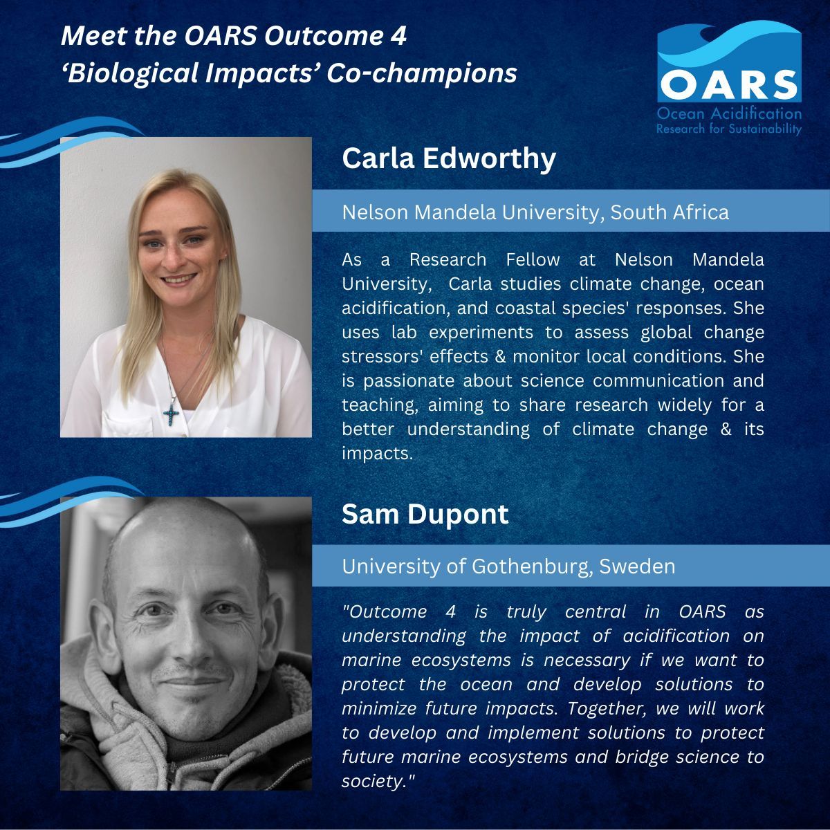 Exciting news! Carla Edworthy joins Sam Dupont as OARS 4 'Biological Observations' Co-champion. Together with their working group, they'll enhance understanding of ocean acidification impacts on marine life. Explore the Outcome 4 white paper &amp; join OARS: buff.ly/3WxJmM0