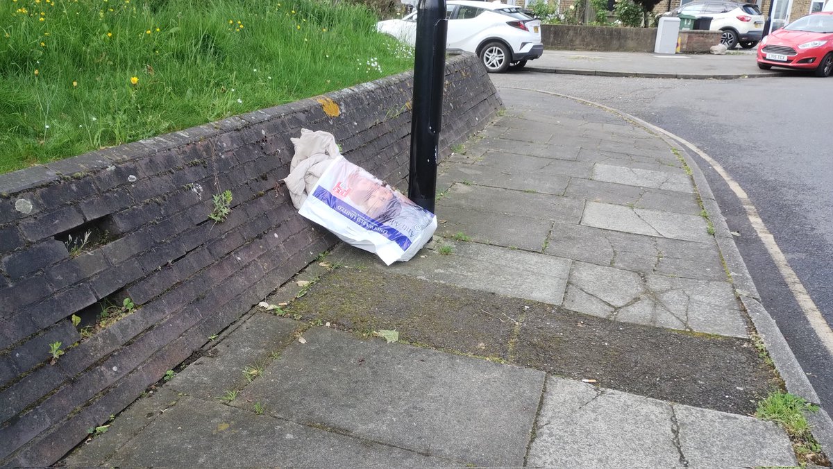 Good morning Bell Green 💚. One bag of litter collected with my 7 year old on the way to school. Also dragged a bagged mattress off one of the meadows and reported it as flytipping. #litter #rubbish #sydenham #se26 #bellgreen