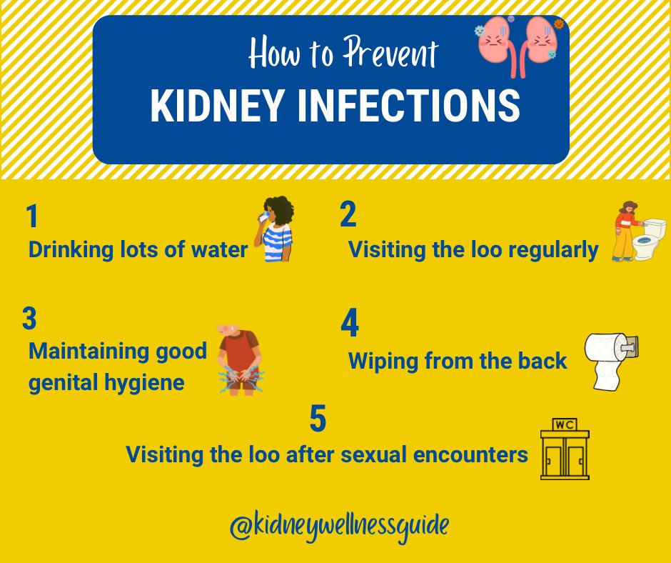 A #KidneyInfection is a painful and unpleasant illness usually caused by #cystitis, a common bladder infection.
It is crucial to address it promptly to prevent complications, including permanent kidney damage.

#kidneyhealth #kidneywellnessguide #earlydetection #kidneyhealthtips