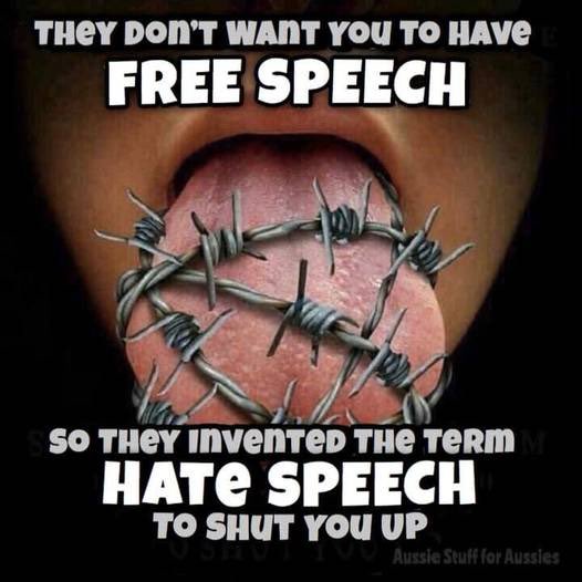 Sie wollen nicht, dass Du freie Meinungsäusserung hast, deshalb haben sie den Begriff Hassrede erfunden, um Sie zum Schweigen zu bringen.