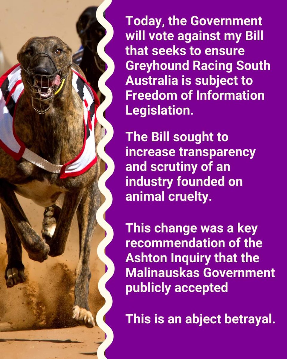 'Tonight, @PMalinauskasMP government will vote against my Bill that seeks to ensure Greyhound Racing SA is subject to Freedom of Information legislation. This should be uncontroversial. It was one of the 86 recommendations of the Ashton Inquiry' ... -@TammyMLC #bangreyhoundracing