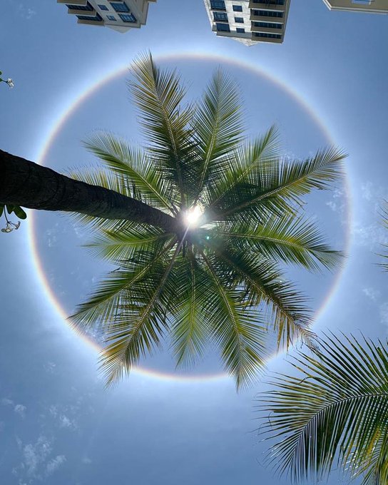 A 22° halo is an atmospheric optical phenomenon that consists of a halo with an apparent radius of approximately 22° around the Sun. This was captured in Bangalore sky by Tushar Goyal