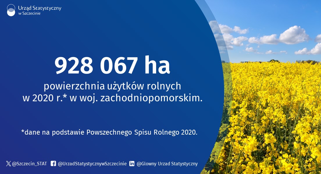 Szczecin_STAT's tweet photo. 15.05. obchodzimy Patronalne Święto Rolników 👨🌾
Wg danych #PSR2020 w #Zachodniopomorskie było 28521 gospodarstw rolnych, to o 6,6% mniej w porównaniu ze spisem z 2010r.
https://t.co/usMMOC47tt
#rolnictwo #statystyki https://t.co/wkCUYjAXXJ