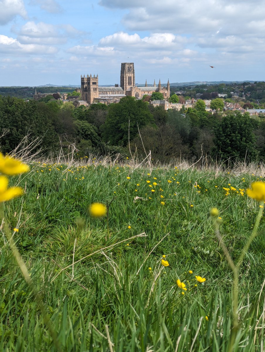 2⃣📍Observatory Hill Such a hidden gem of a viewing spot in Durham! Please share yours with us 🙌
