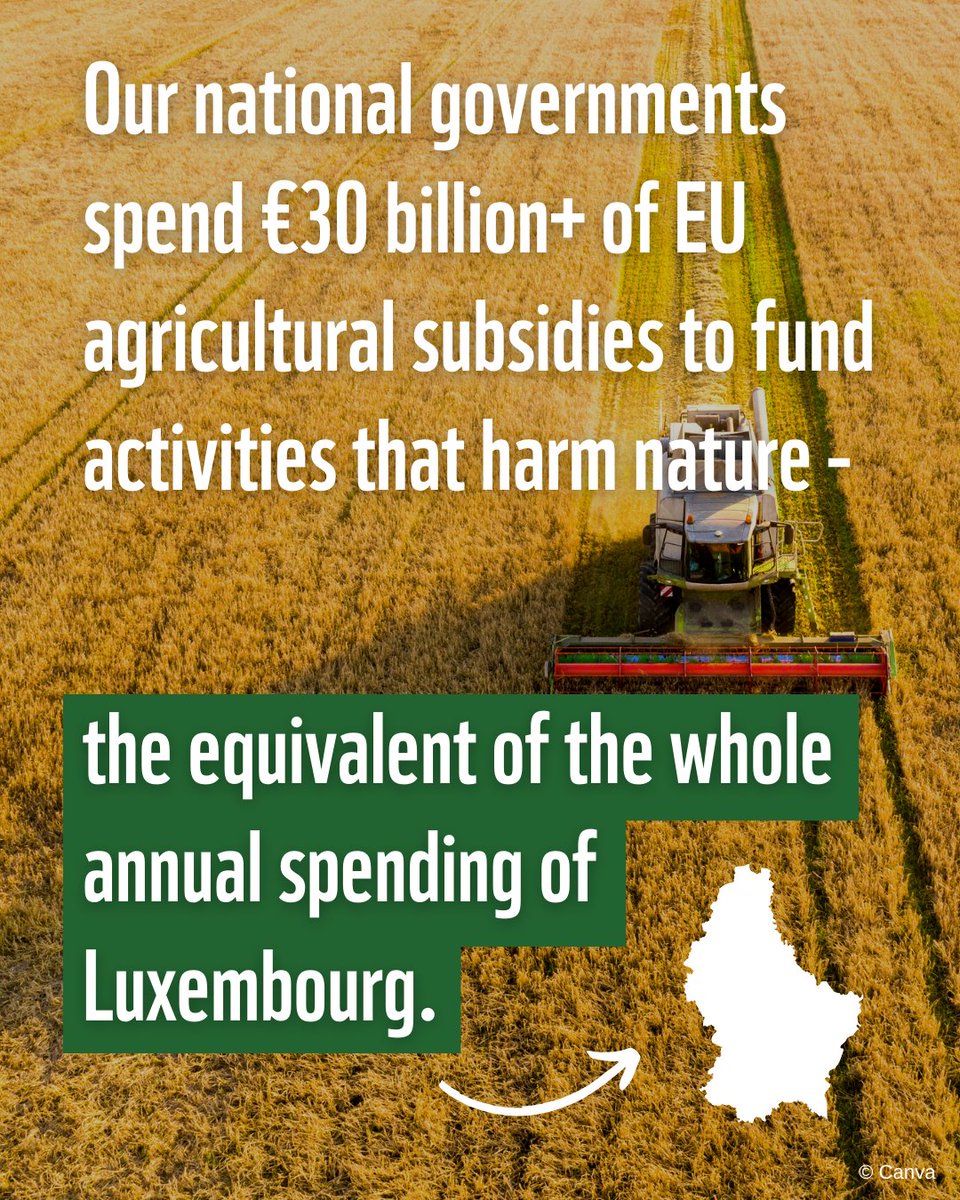 ❗ Up to 60% of the EU’s #CAP funding—more than €32 billion—is detrimental to nature while failing to support the farmers 🚜💔

That’s the annual spending of countries like Luxembourg or Croatia!

Read our report on harmful subsidies: wwf.eu/?13738891/Can-…