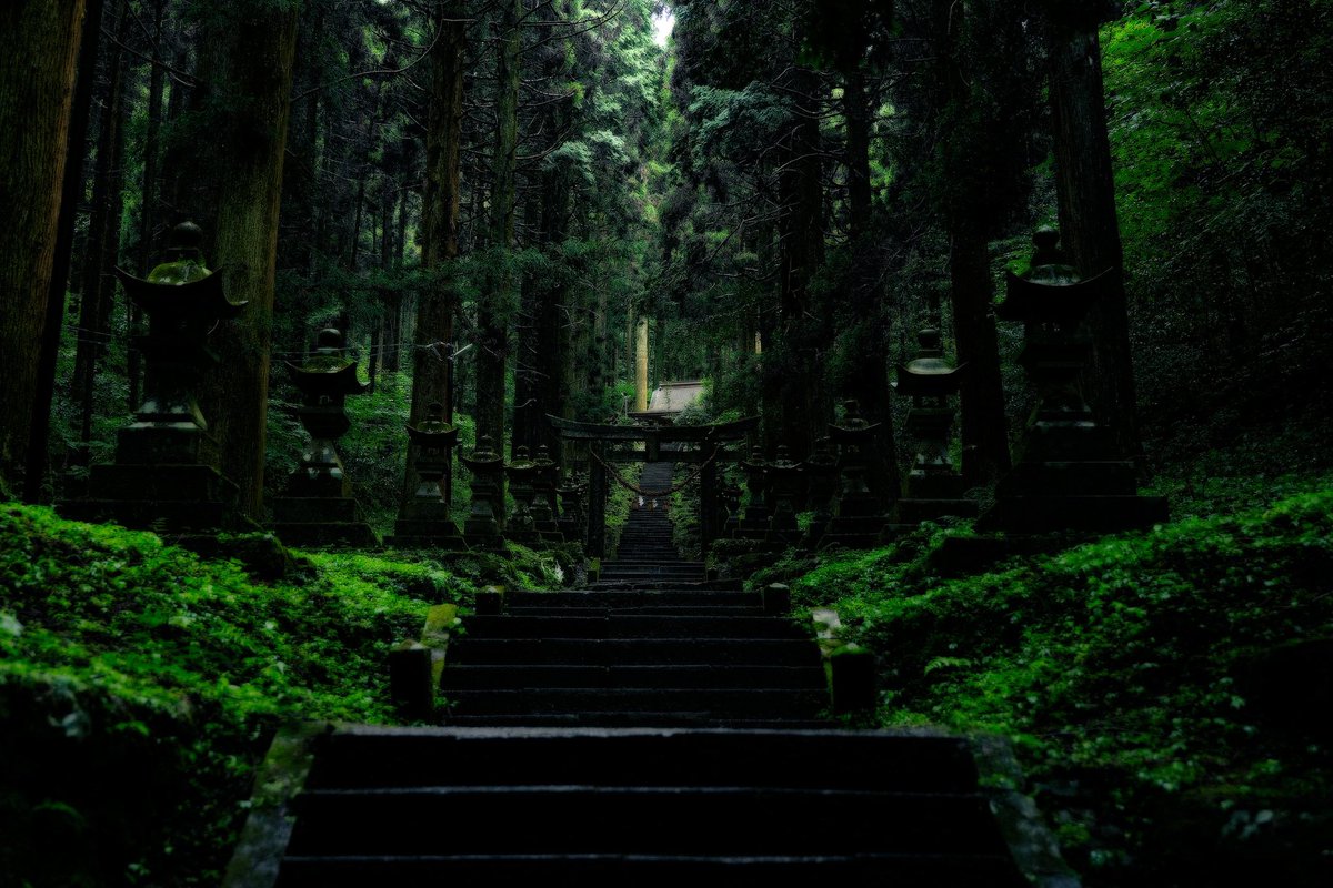 熊本にある湿度を纏う神社