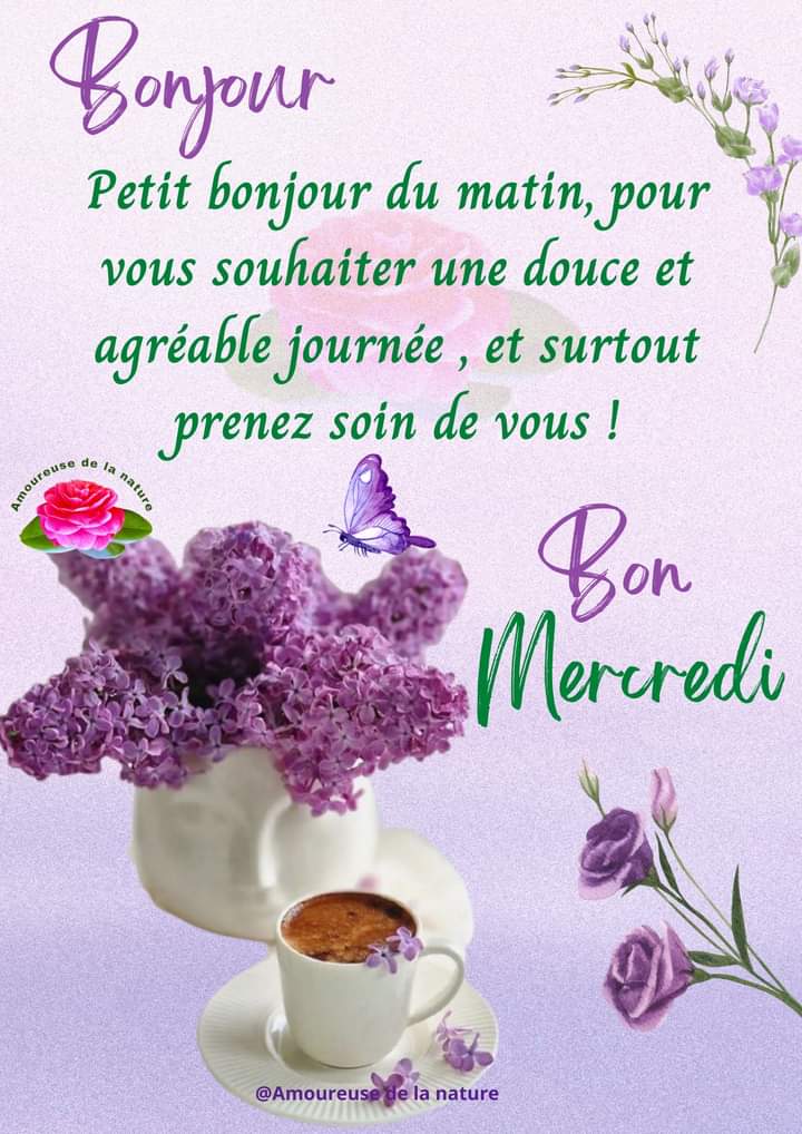 #bonjour #bonnejournée #matin #positivywibes #nature #mercredi