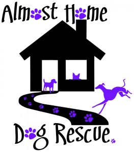 We love dogs at Topspeed so when we were introduced to @AlmostHome_Dog, a wonderful small dog rescue charity based in North Wales, we were more than happy to pledge our support