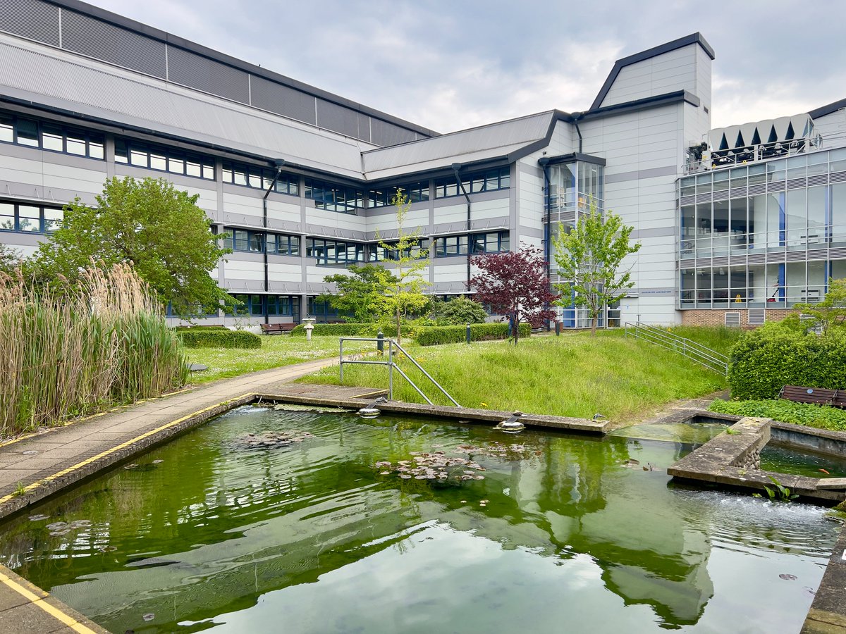 Anthony Speca tweet media