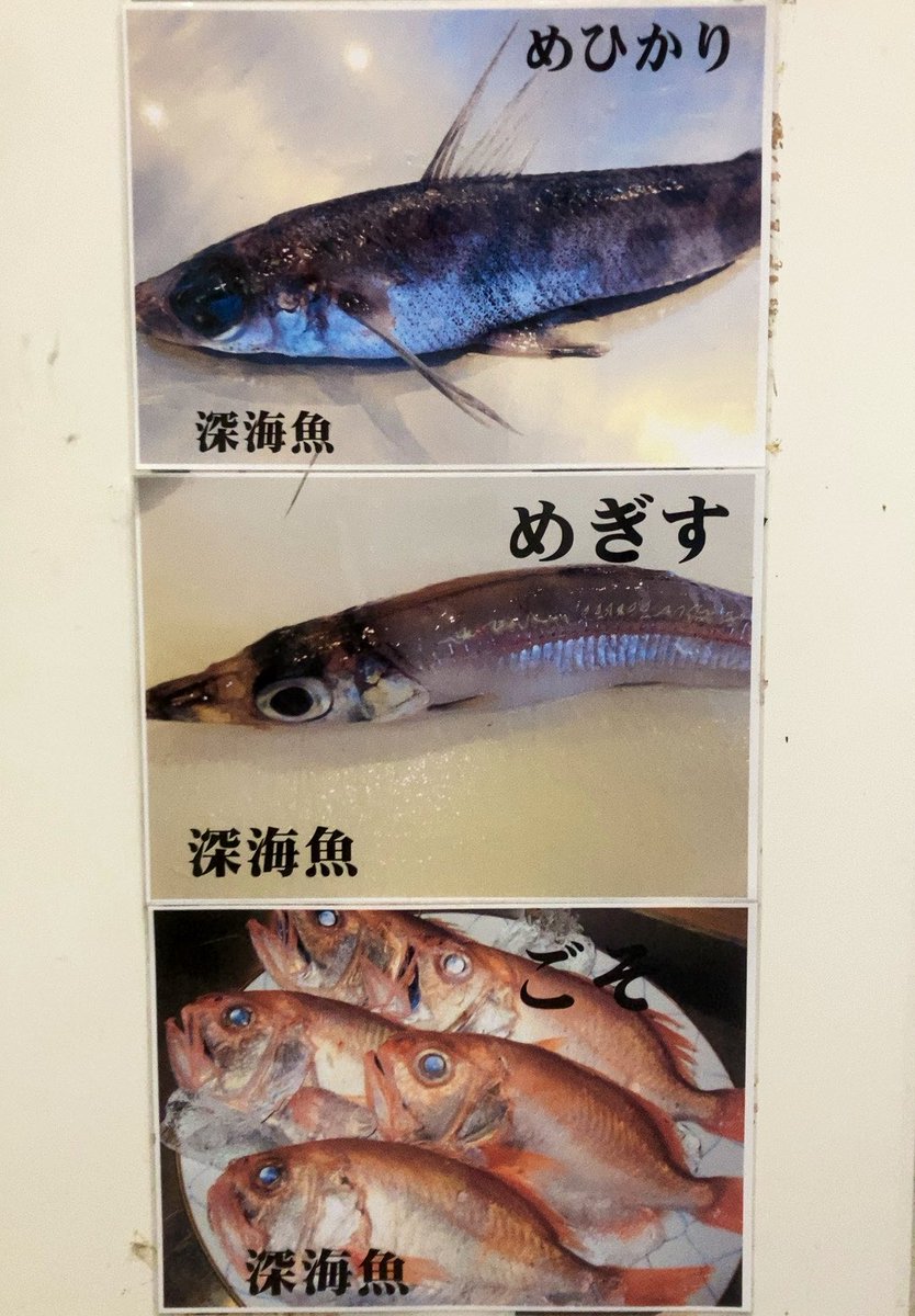 沼津港の深海魚の寿司、また食べたいなー🌊🍣⛴️🎌