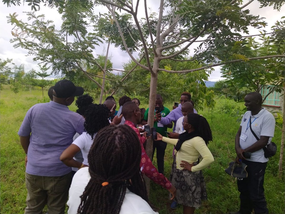 mnabiahmad's tweet photo. The workshop was conducted on 7-9 May (2024) in Makueni county (including representative from County Gov,  CFAs, Local NGOs, Community Facilitators (CFs) and others) to train participant on the use of #RegreeningApp to collect data for Restoration projects. https://t.co/5KEee9fUqK