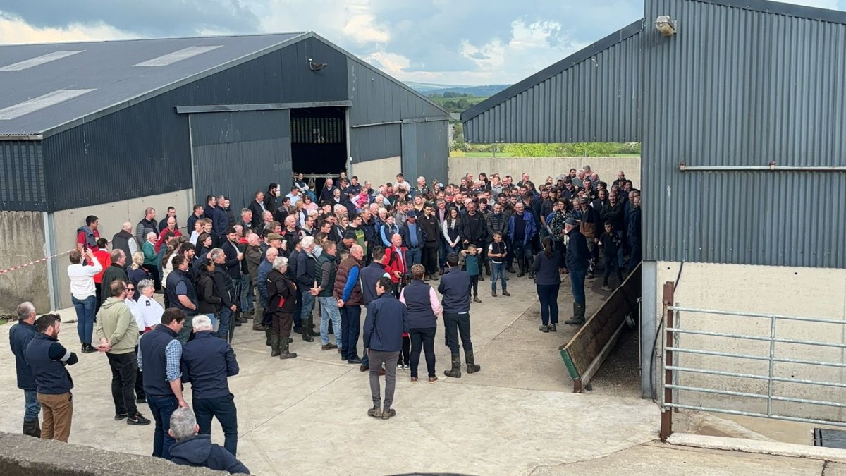 Great turnout at yesterday’s @IrishGrassland sheep event on the farm of Margaret and Jack Stevenson, in Castlefinn, Donegal. 🐑🐑 Fantastic farm with amazing attention to detail all round! ✅ Event sponsored by @MullinahoneCoop 🙌🏻 #igasheep #sheepevent #sheepfarming