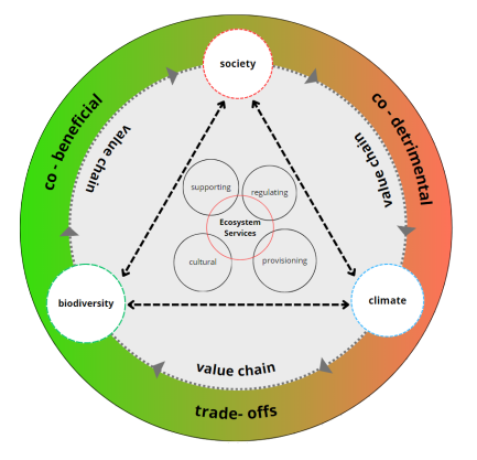 What is Participatory System Dynamics Modeling and which role does it play in understanding the Biodiversity-Climate-Society Nexus? Find answers to these questions in BIOTRAILS’ deliverable 3.9: adelph.it/twD39