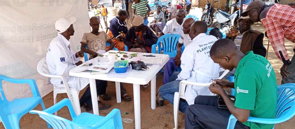 🔊Happening: @FAO & @MAAIF_Uganda are on a mission in Karamoja focusing on

✅Supporting District Local Gov't officers in plant clinic operations
✅Educating farmers on community-based monitoring of African Armyworm
✅Sensitization on the Prevention of Sexual Exploitation & Abuse