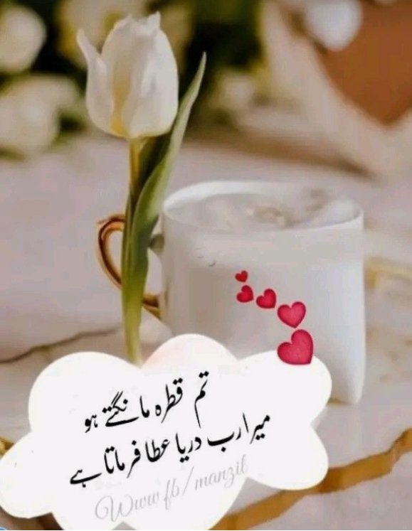Misbah Rubab512 tweet media