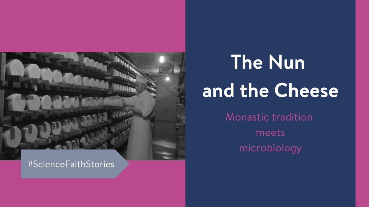 Mother Noella Marcellino is a Benedictine nun, microbiologist, and cheese maker. In this extraordinary story, we read how her faith illuminates her scientific vocation. #ScienceFaithStories eclas.shorthandstories.com/pentecost/the-…