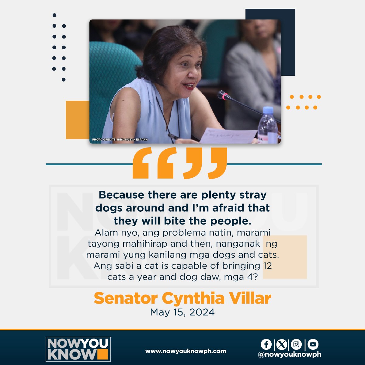 Like human beings, the population of stray dogs and cats is growing and needs to be controlled, according to Senator Cynthia Villar. READ: tinyurl.com/3jj5akus 📰Inquirer.net