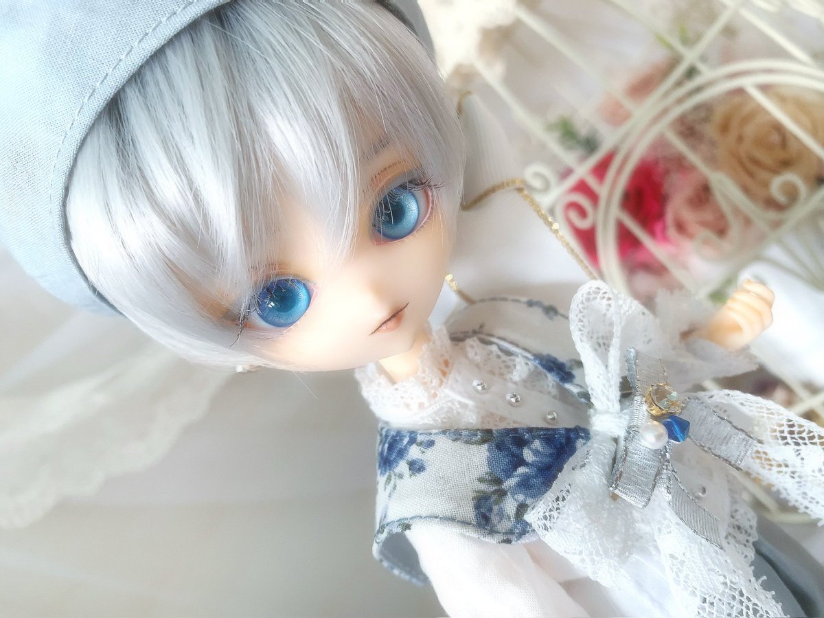 drops0527's tweet image. 【ワンオフ出品】

page.auctions.yahoo.co.jp/jp/auction/r11…

王子様Nepeta君、出品致しました！
この度も沢山着せ替えて楽しんで頂けるセット数もりもりの22点、1000円〜のスタートです🥰
とても優しいお顔をした儚げな子です☺️
18日(土)21時台終了予定です🙇‍♀️
沢山の方に見て頂けますように✨