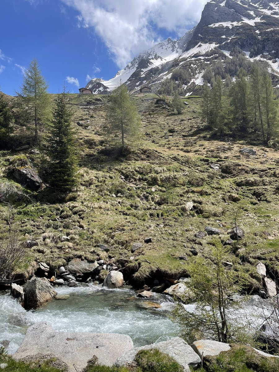 Wandergrüße aus Südtirol vom Yogaretreat.