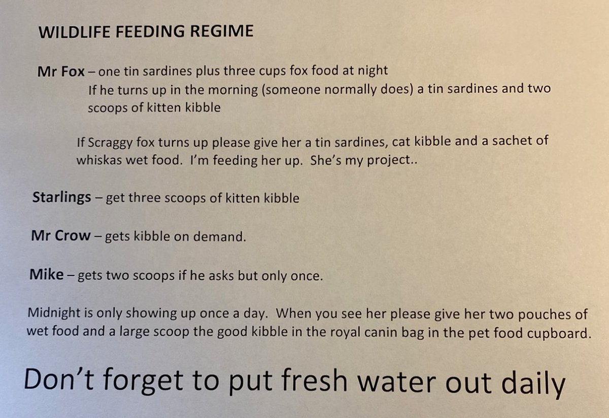 The head zoo keeper in our house is away, leaving me in charge of the feeding regime 😟 (Mike's the seagull, and Midnight a stray kitty)